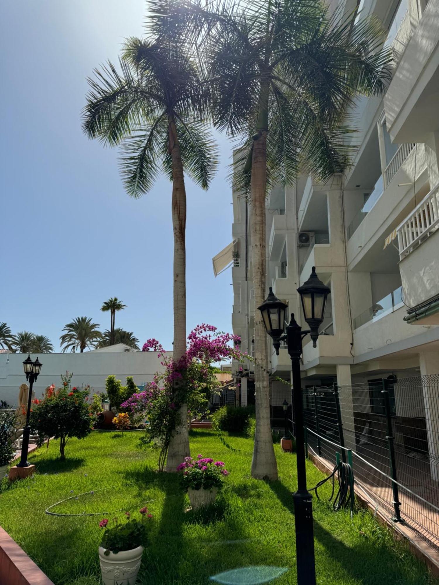 Apartamento Reformado En Apartamentos Tanife, Playa Del Ingles San Bartolomé Exteriör bild