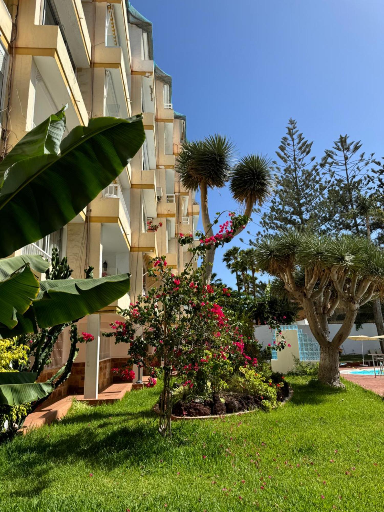 Apartamento Reformado En Apartamentos Tanife, Playa Del Ingles San Bartolomé Exteriör bild
